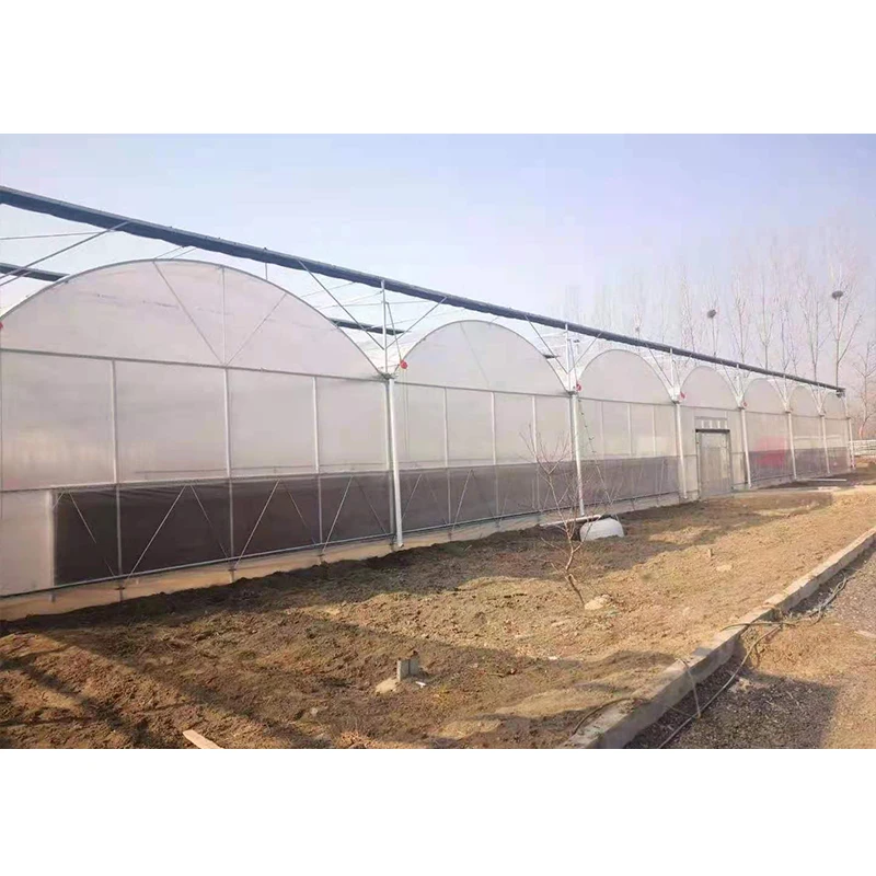 # l Low Cost Farm Singlespan G - Agriculture Farm House ulasan dan harga