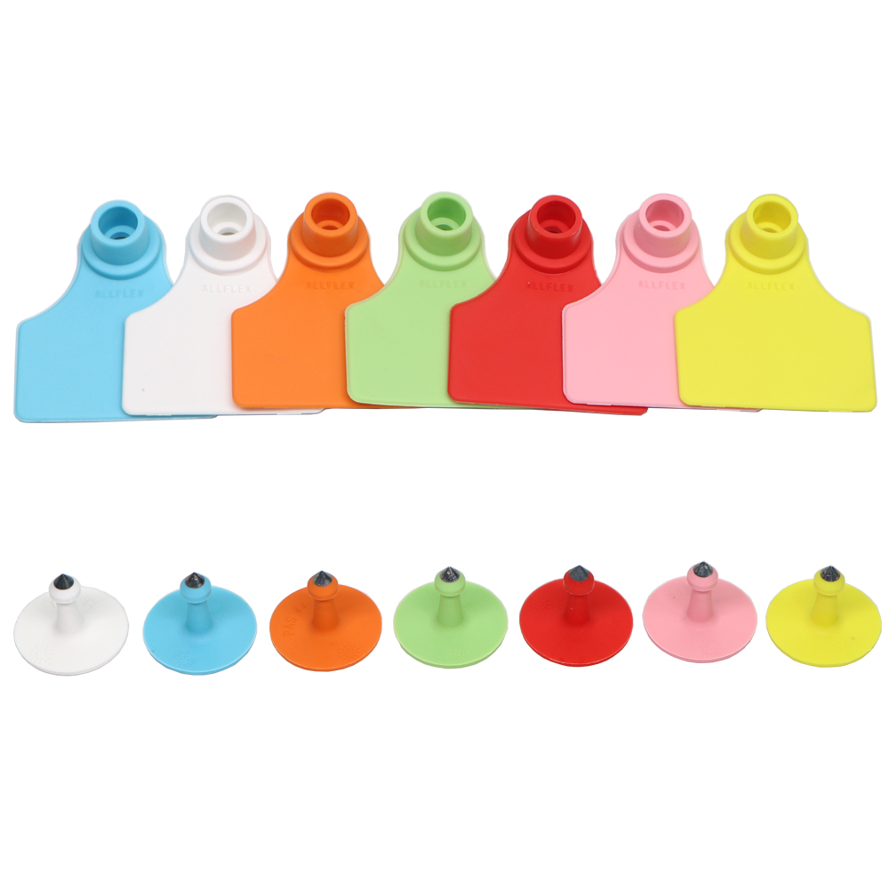 5PCS Pig Sow Ear Tag Plate Wit - Livestock Ear Tag ulasan dan harga