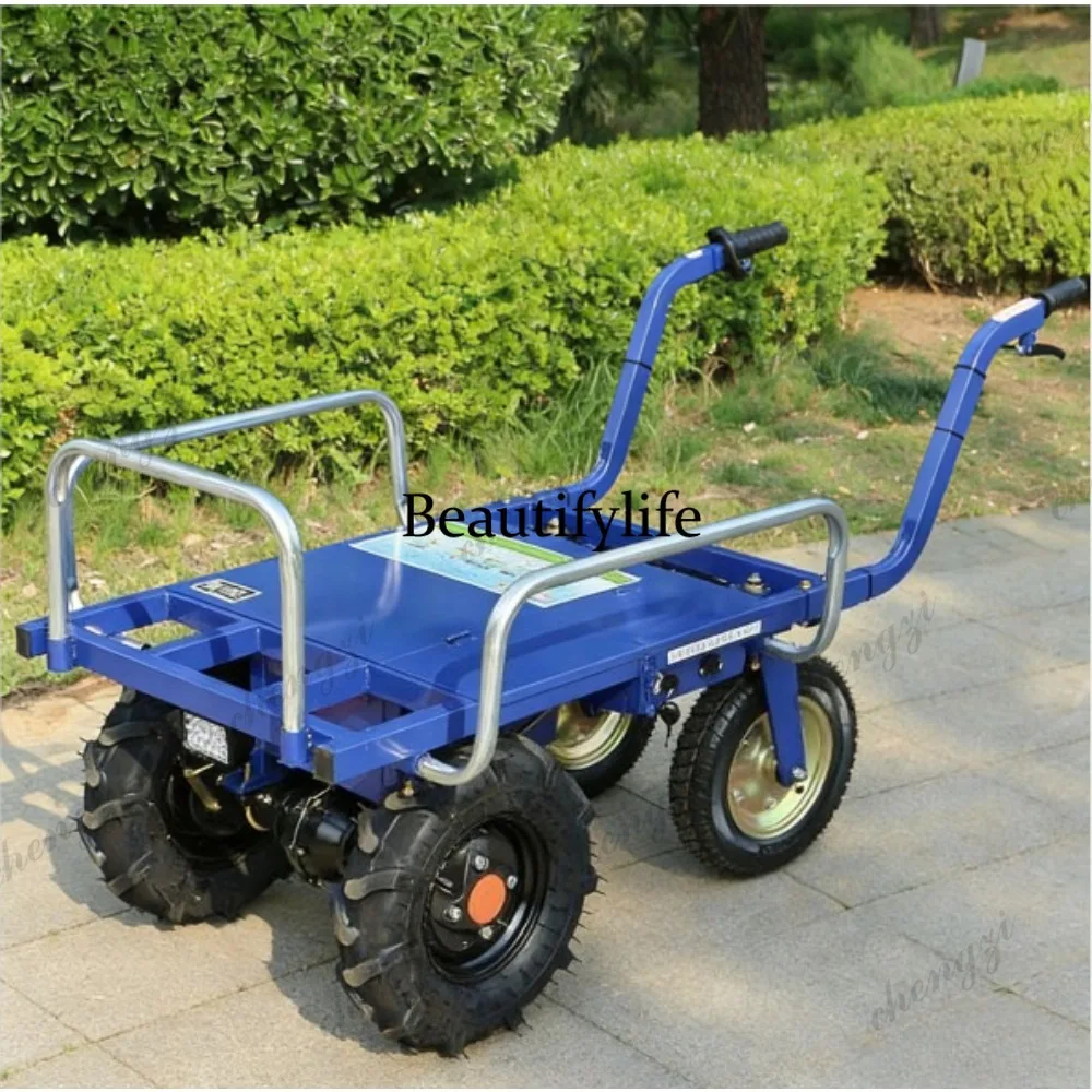 a55  Electric Tricycles and Fo - Agriculture Farming And Livestock ulasan dan harga